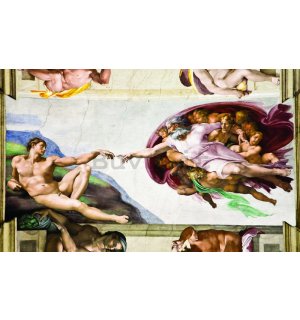 Fotomurale: Creazione di Adamo (Michelangelo Buonarotti) - 254x368 cm