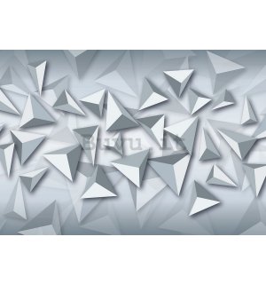 Fotomurale: Triangolo in 3D - 254x368 cm