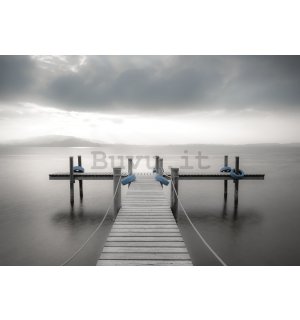 Fotomurale: Passerella di legno verso il mare (bianco e nero) - 184x254 cm