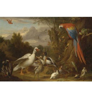Fotomurale: Ducks, Parrots and Other Birds in a Landscape - 184x254 cm