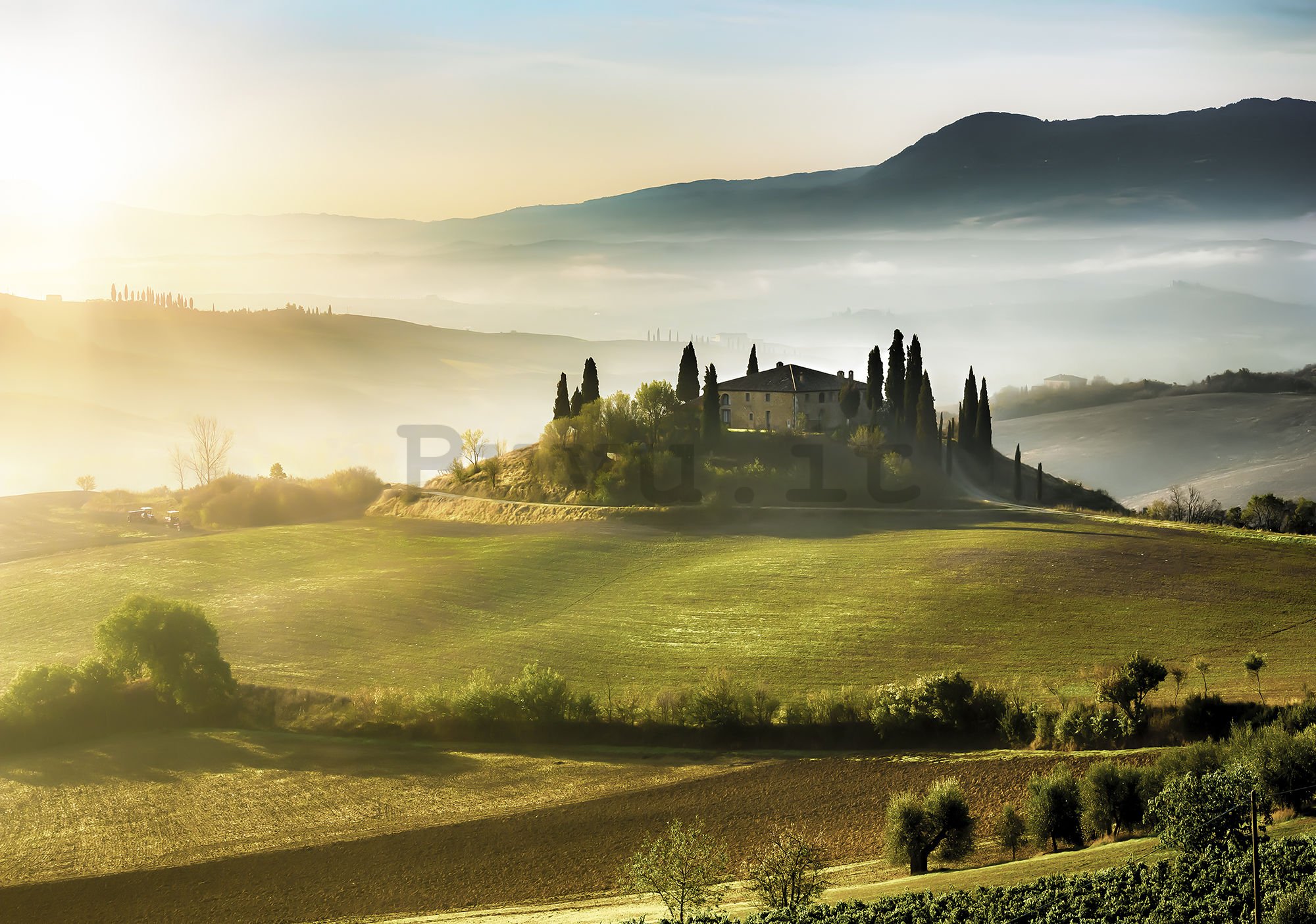 Fotomurale: Tuscany Hill - 254x368 cm