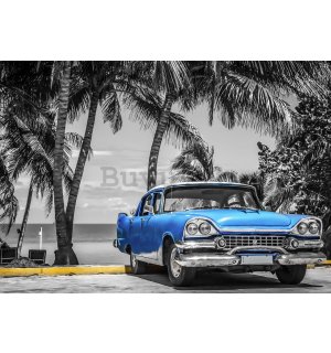 Fotomurale in TNT: Automobile blu di Cuba vicino al mare - 104x152,5 cm