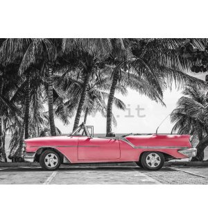 Fotomurale in TNT: Automobile rossa di Cuba - 184x254 cm