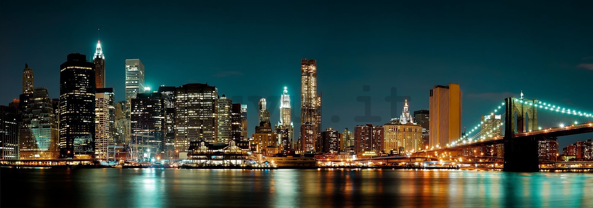 Fotomurale: N.Y. di notte - 624x219 cm