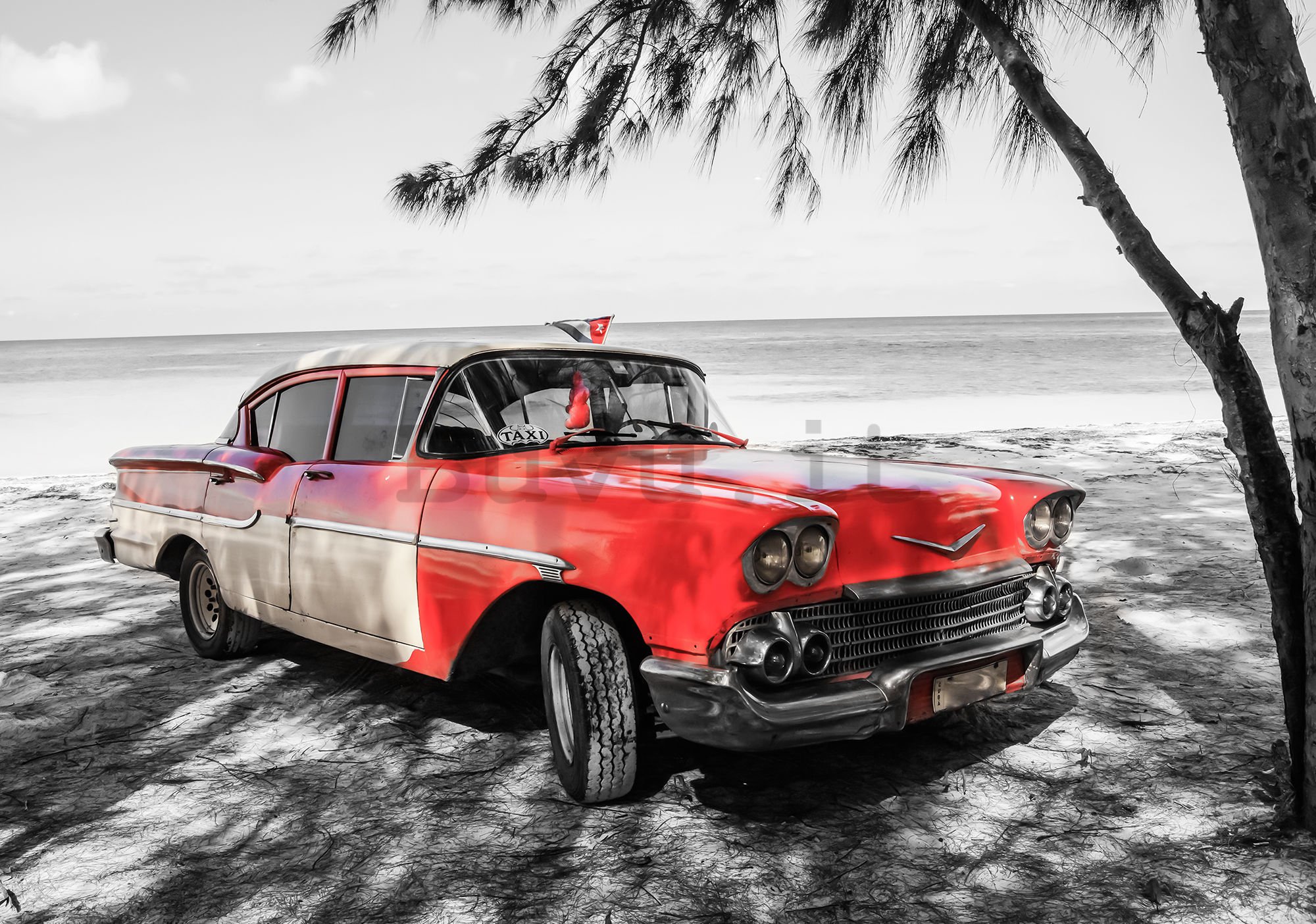 Fotomurale in TNT: Cuba auto rossa sul mare - 104x152,5 cm