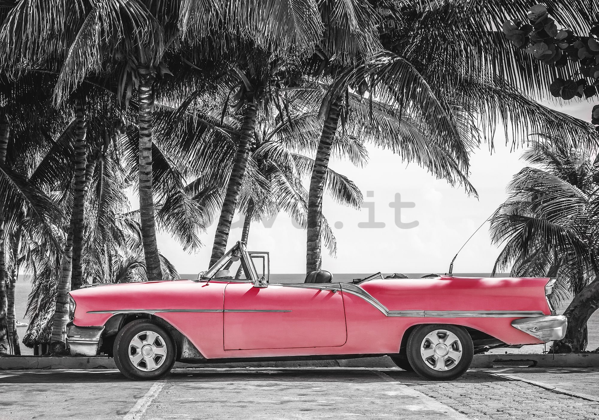 Fotomurale: Automobile rossa di Cuba - 254x368 cm