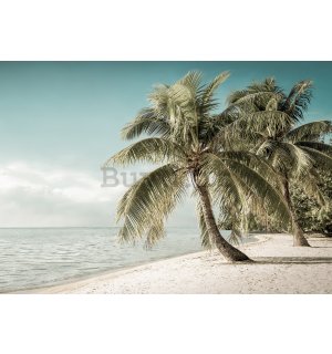 Fotomurale in TNT: Costa con palme - 184x254 cm