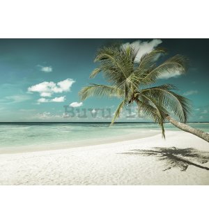 Fotomurale in TNT: Palma sul mare - 184x254 cm