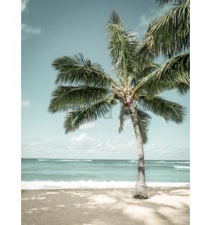 Fotomurale: Palma dal mare estivo - 184x254 cm