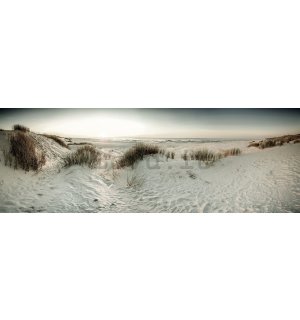 Fotomurale: Dune di sabbia - 624x219 cm