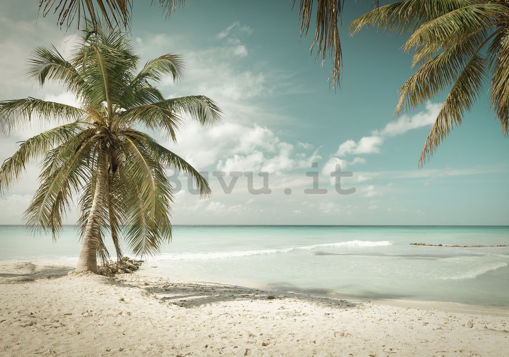 Fotomurale in TNT: Le palme sul mare - 416x254 cm