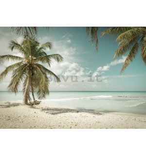 Fotomurale in TNT: Le palme sul mare - 416x254 cm