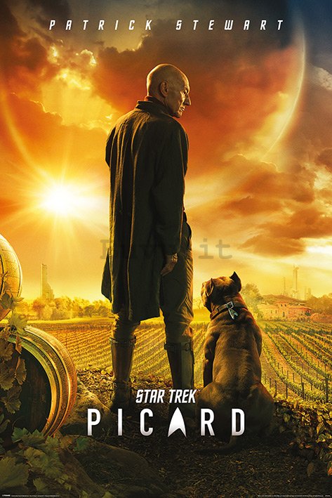 Poster - Star Trek Picard (Picard Number One)