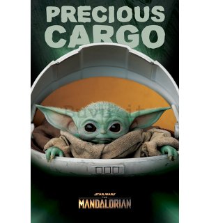 Poster - Star Wars The Mandalorian (Precious Cargo)