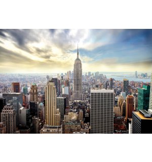 Fotomurale: Vista di New York - 368x254cm