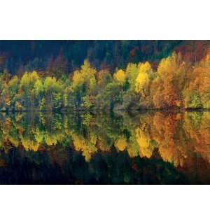 Fotomurale: Foresta e lago d'autunno - 368x254cm