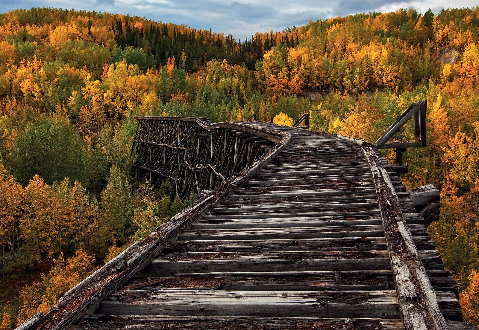 Fotomurale: Foresta d'autunno e binari del treno - 368x254cm