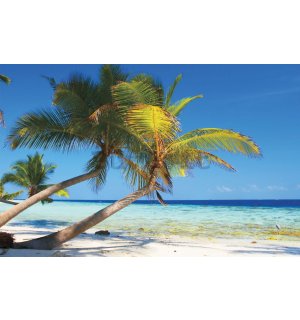 Fotomurale in TNT: Spiaggia con palma - 184x254 cm