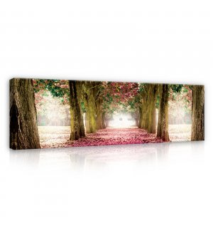 Quadro su tela: Viale fiorito (4) - 145x45 cm