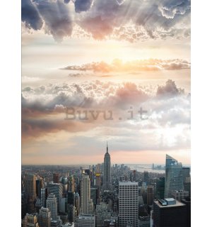 Fotomurale: Vista di Manhattan (2) - 184x254 cm