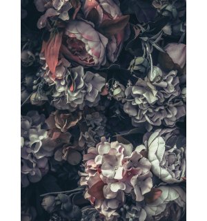 Fotomurale: Combinazione di fiori (2) - 184x254 cm