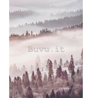 Fotomurale: Foresta nebbiosa - 184x254 cm