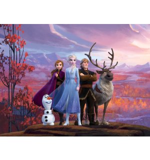 Fotomurale in TNT: Frozen II - 360x270 cm