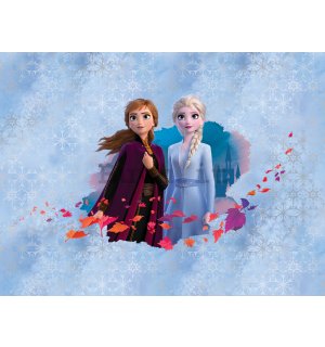 Fotomurale in TNT: Frozen II (Anna & Elsa) - 360x270 cm