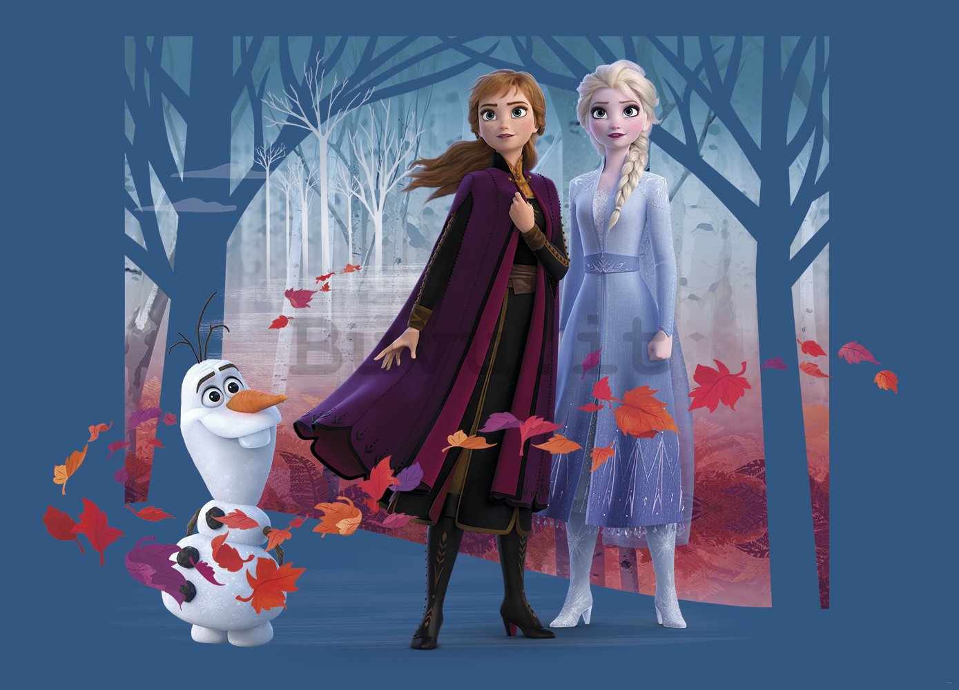 Fotomurale in TNT: Frozen II Sisters (1) - 160x110 cm