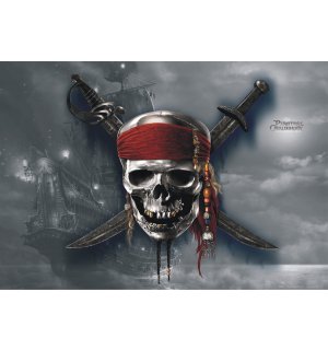 Fotomurale in TNT: Pirates - 160x110 cm