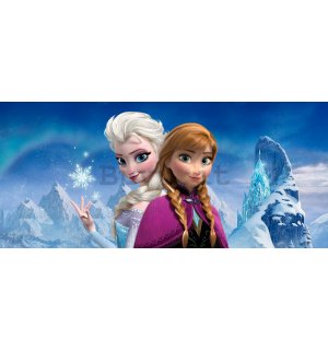 Fotomurale in TNT: Frozen Sisters (panorama) - 202x90 cm