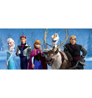 Fotomurale in TNT: Frozen (2) (panorama) - 202x90 cm
