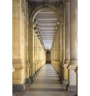 Fotomurale: Colonnato (2) - 158x232 cm