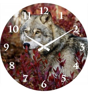 Orologio da parete in vetro: Wolf - 38 cm