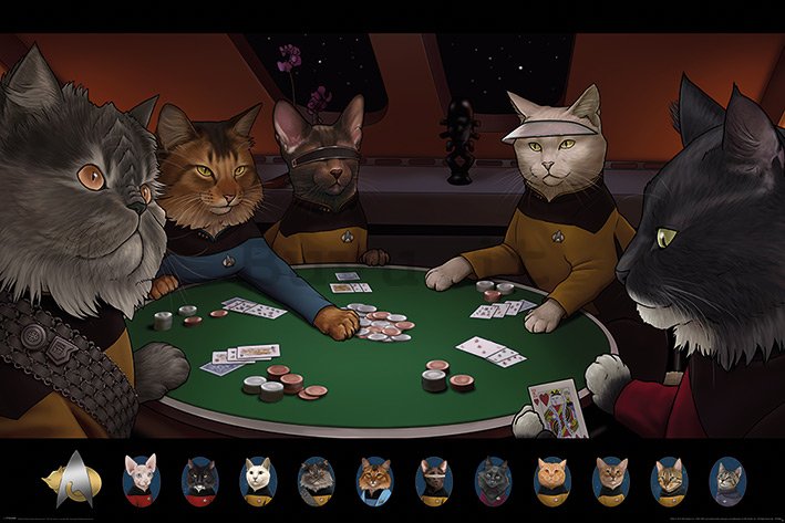 Poster - Star Trek Cats (Poker) 