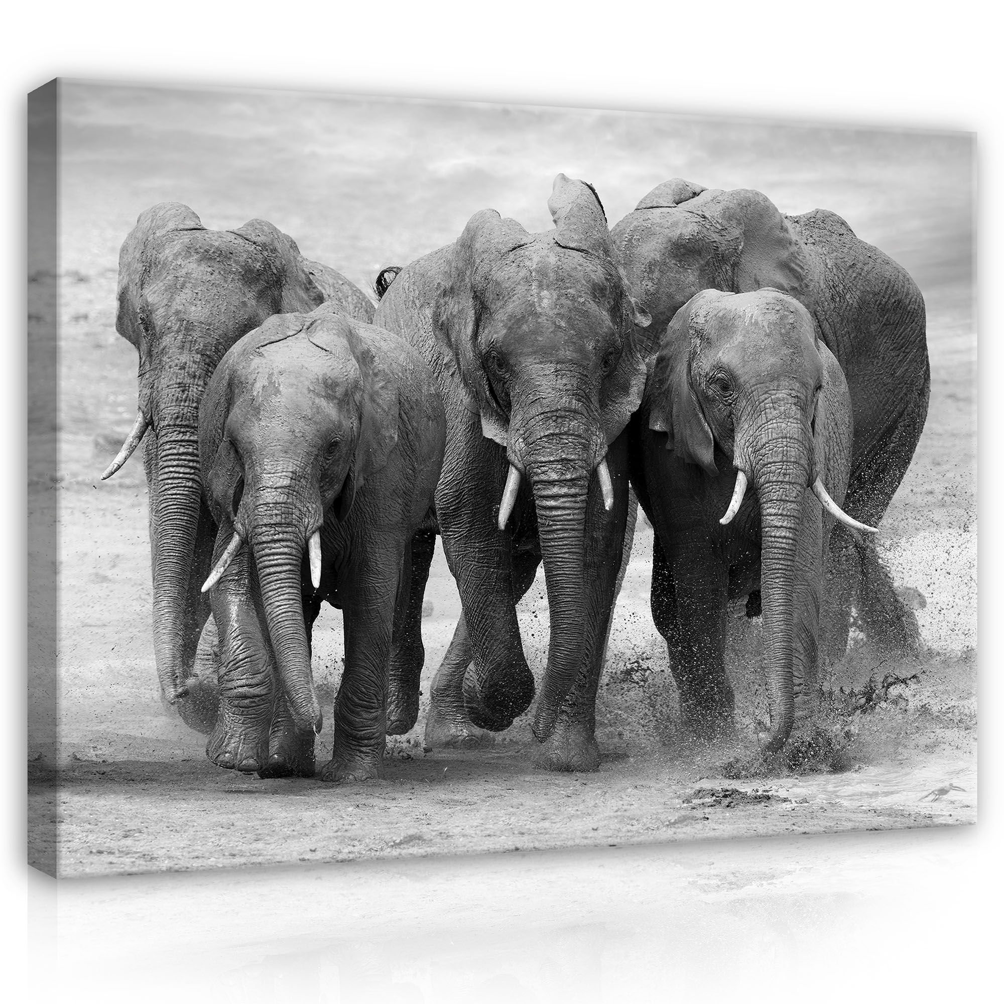 Quadro su tela: Elefanti - 80x60 cm