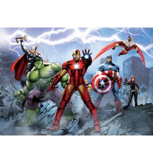 Fotomurale in TNT: Disney Avengers - 360x254 cm
