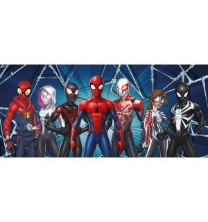 Fotomurale in TNT: Spiderman Spider-Verse (1) - 202x90 cm