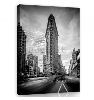 Quadro su tela: Flatiron Building (monocromatico) - 100x75 cm