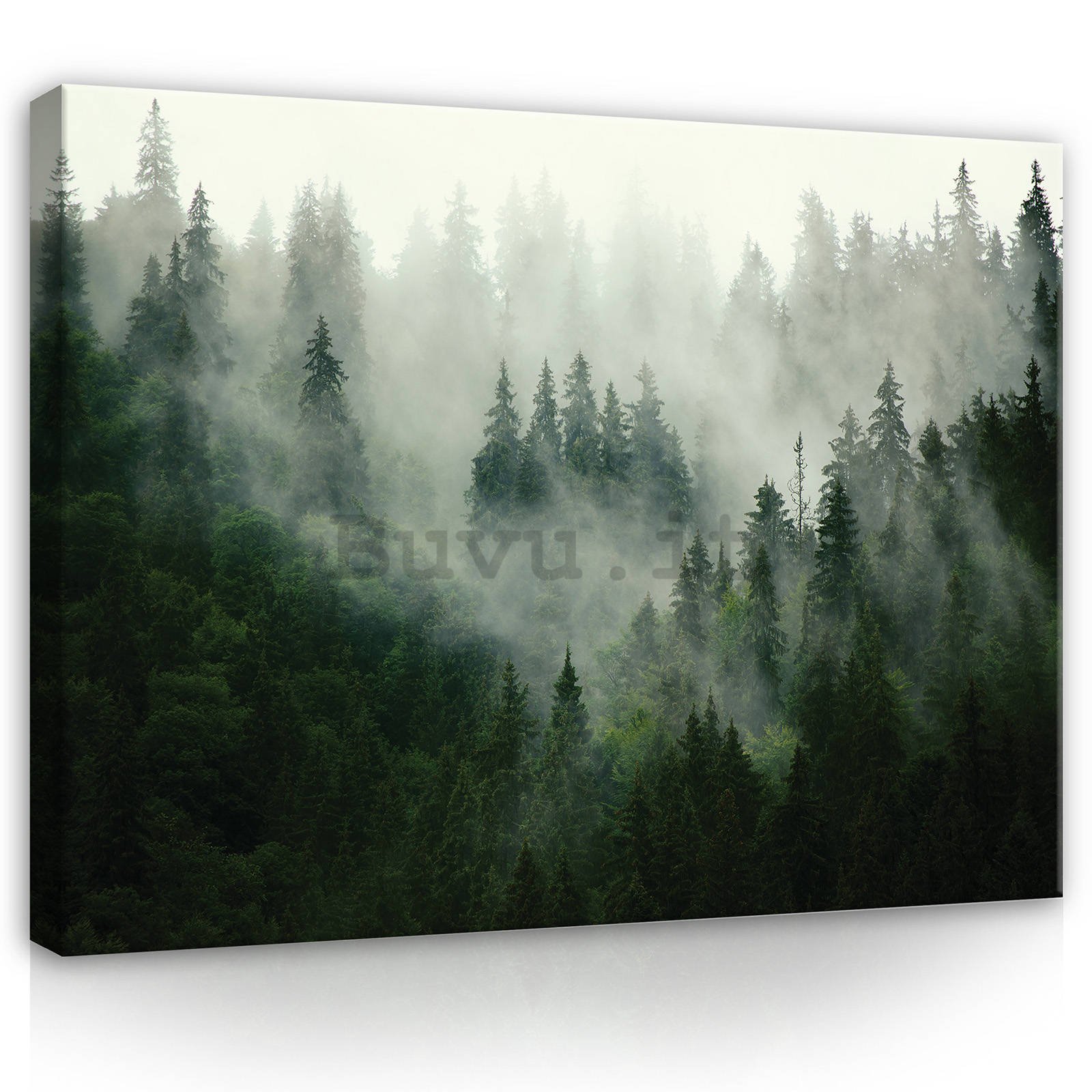 Quadro su tela: Nebbia sul bosco (1) - 100x75 cm