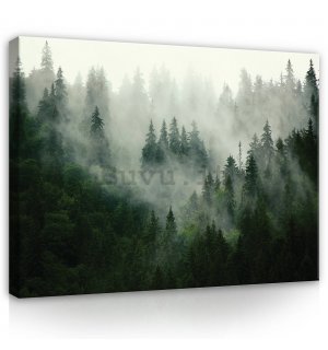 Quadro su tela: Nebbia sul bosco (1) - 100x75 cm