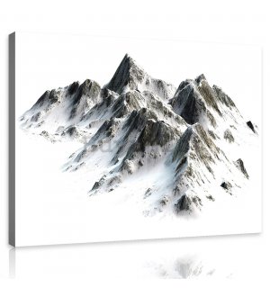 Quadro su tela: Montagne innevate - 80x60 cm