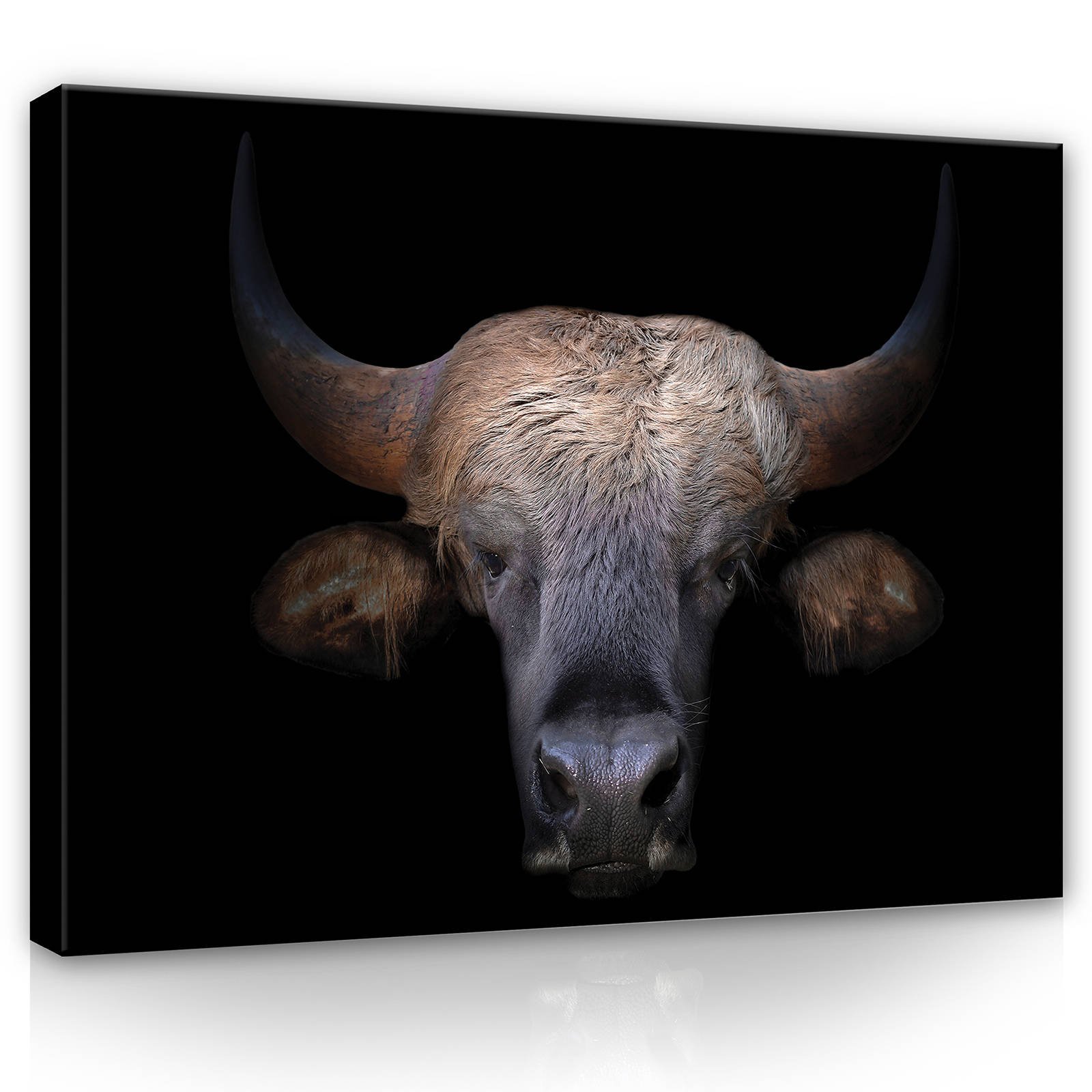 Quadro su tela: Toro (1) - 80x60 cm