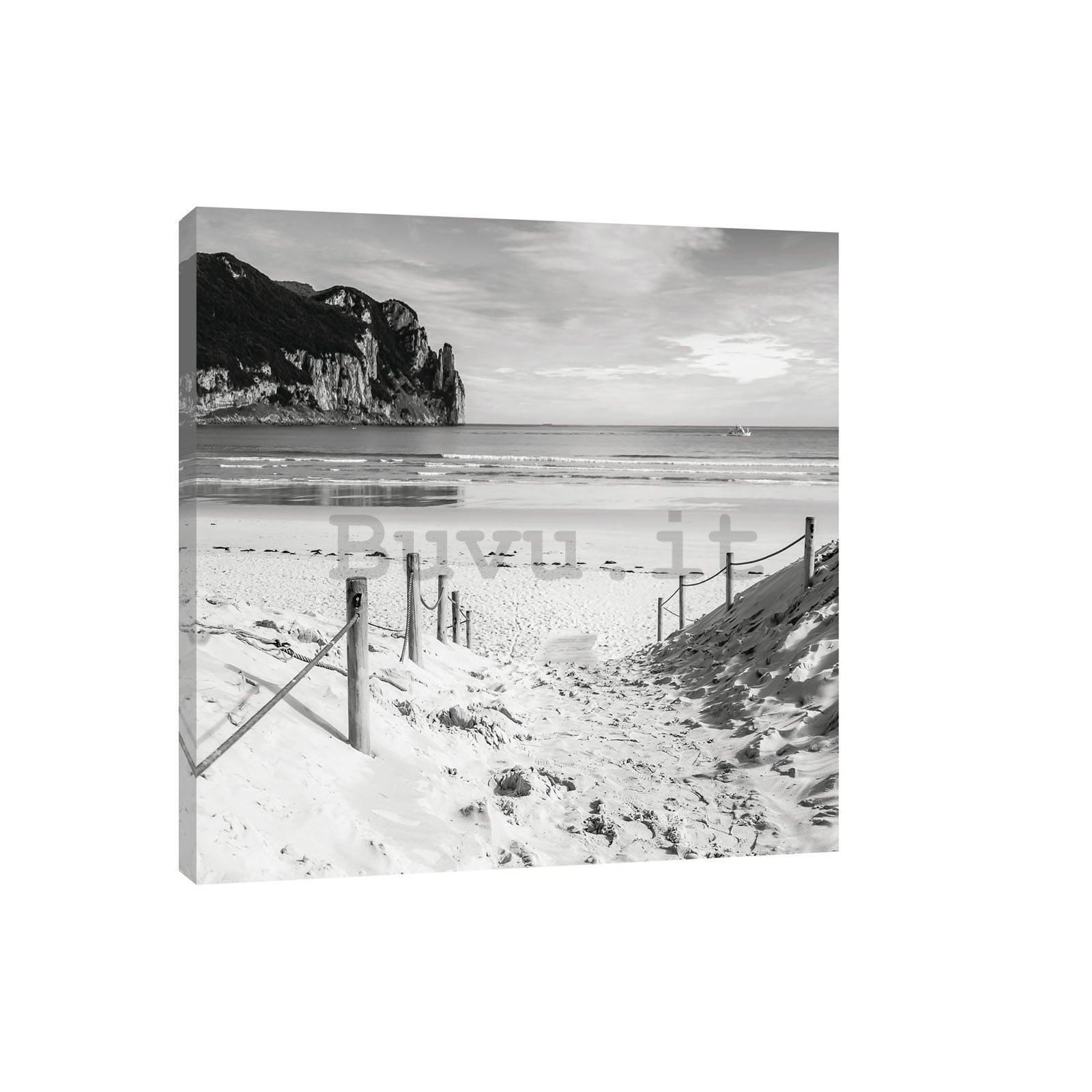 Quadro su tela: Spiaggia sabbiosa (in bianco e nero) - 80x60 cm