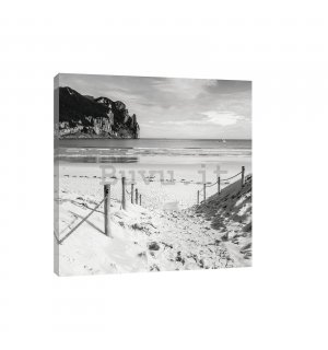 Quadro su tela: Spiaggia sabbiosa (in bianco e nero) - 80x60 cm