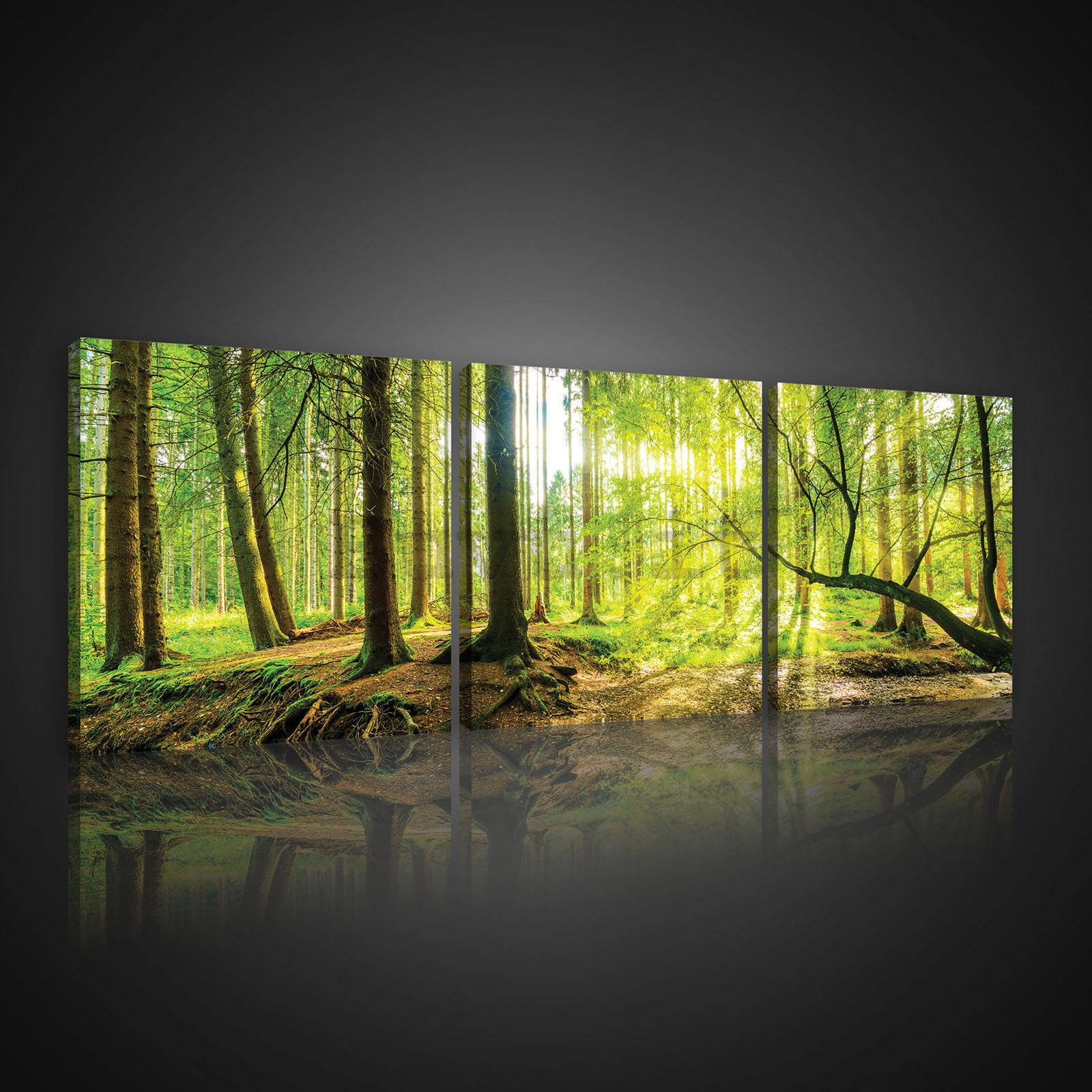Quadro su tela: Foresta alluvionale - set 3pz 25x25cm