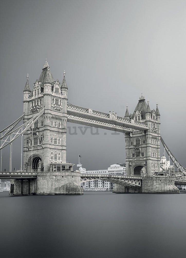 Fotomurale: Gray Tower Bridge - 184x254 cm