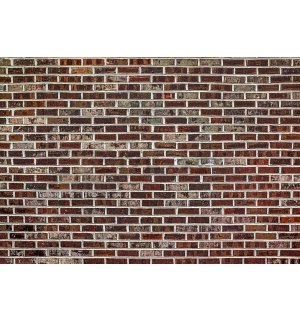 Fotomurale in TNT: Muro di mattoni (6) - 254x368 cm