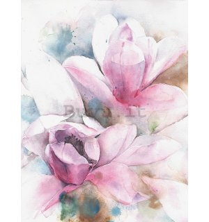 Fotomurale: Magnolia (dipinta) - 184x254 cm
