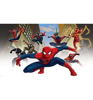 Fotomurale in TNT: Spiderman (1) - 208x146 cm